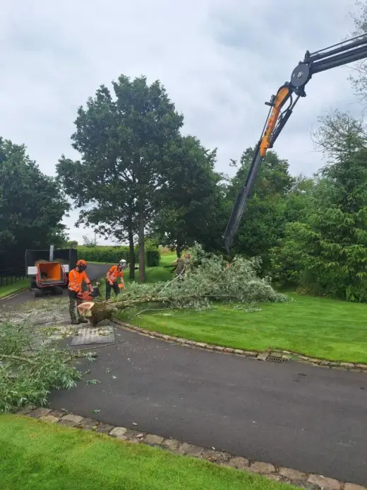 HIAB crane removing tree sections from a garden with operatives below