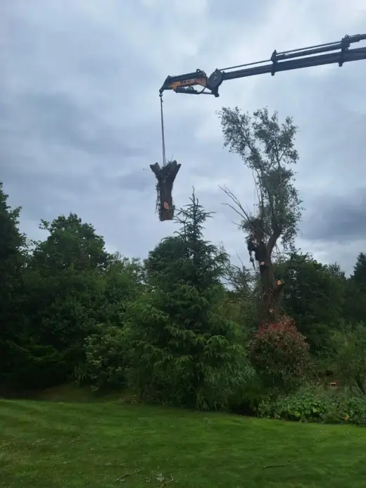 Crane lifting a large tree trunk section over woodland