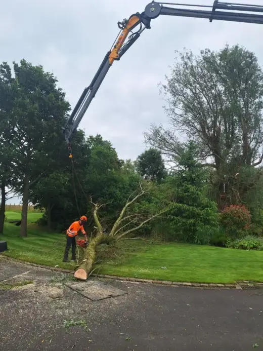 HIAB crane removing a tree section above a lawn