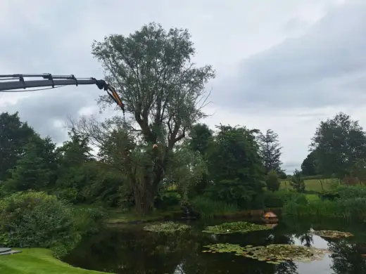 HIAB crane removing a tree beside a pond
