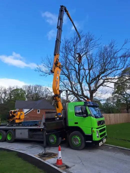Green HIAB lorry lifting a tree on a residential street