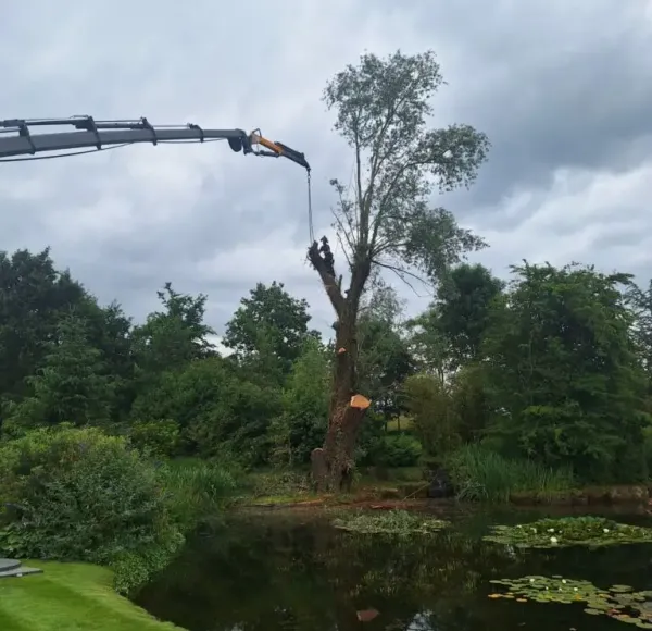 HIAB crane lifting tree branches beside a pond