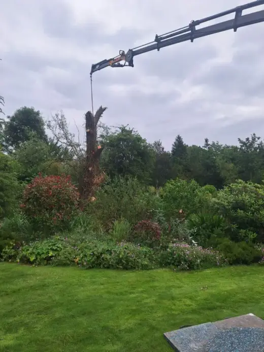 HIAB crane lifting tree sections over a garden