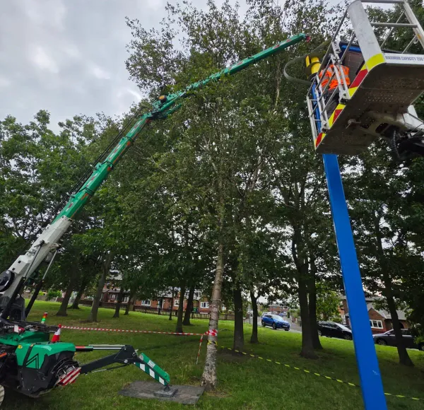 Spider crane lifting beside trees
