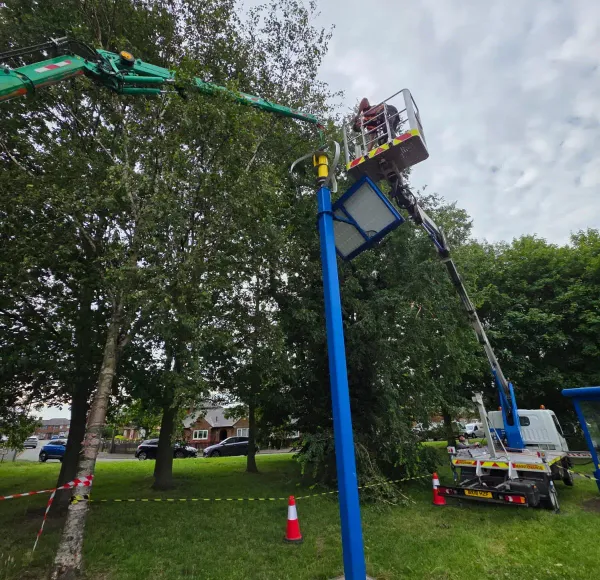 Spider crane lifting a streetlight column among trees