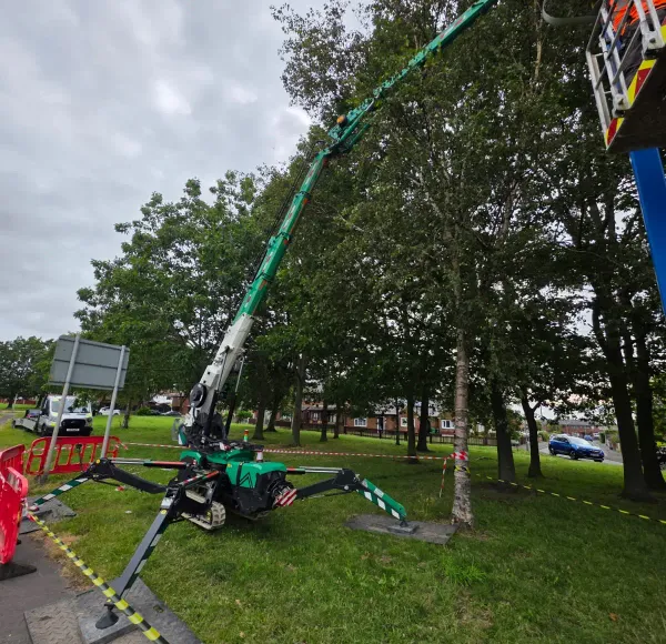 Spider crane working behind safety barriers beside trees