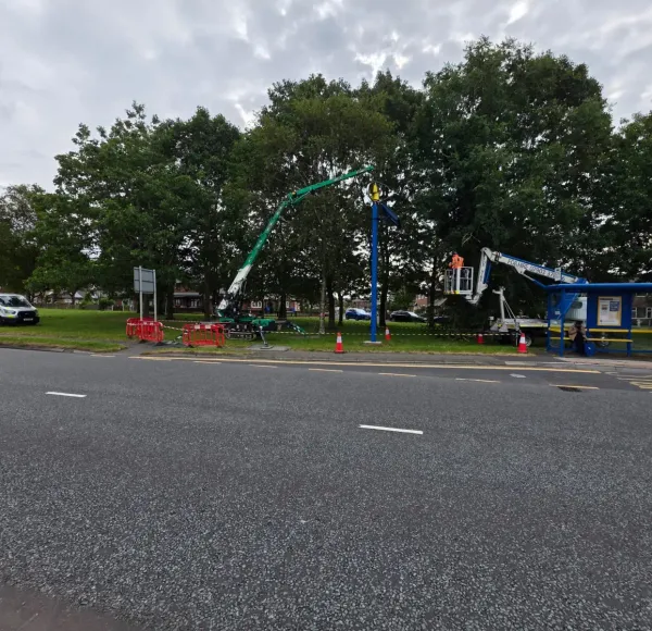 Spider crane working at the roadside beside trees